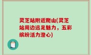 灵芝站附近爬山(灵芝站周边远足魅力，五彩缤纷活力澄心)