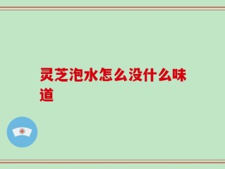 灵芝泡水怎么没什么味道