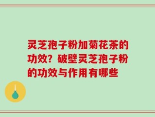 灵芝孢子粉加菊花茶的功效？破壁灵芝孢子粉的功效与作用有哪些