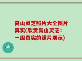 高山灵芝照片大全图片真实(欣赏高山灵芝：一组真实的照片展示)