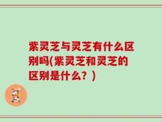 紫灵芝与灵芝有什么区别吗(紫灵芝和灵芝的区别是什么？)