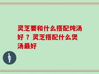 灵芝要和什么搭配炖汤好 ？灵芝搭配什么煲汤最好