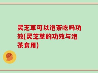 灵芝草可以泡茶吃吗功效(灵芝草的功效与泡茶食用)