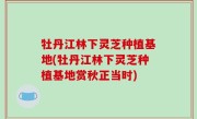 牡丹江林下灵芝种植基地(牡丹江林下灵芝种植基地赏秋正当时)