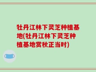 牡丹江林下灵芝种植基地(牡丹江林下灵芝种植基地赏秋正当时)
