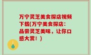 万宁灵芝美食探店视频下载(万宁美食探店：品尝灵芝美味，让你口感大赏！)