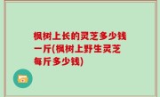 枫树上长的灵芝多少钱一斤(枫树上野生灵芝每斤多少钱)