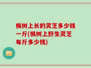 枫树上长的灵芝多少钱一斤(枫树上野生灵芝每斤多少钱)