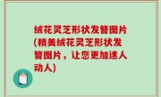 绒花灵芝形状发簪图片(精美绒花灵芝形状发簪图片，让您更加迷人动人)