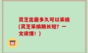 灵芝出菌多久可以采摘(灵芝采摘期长短？一文读懂！)