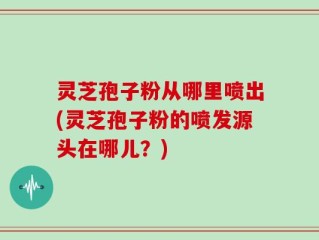 灵芝孢子粉从哪里喷出(灵芝孢子粉的喷发源头在哪儿？)