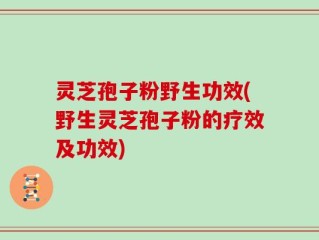 灵芝孢子粉野生功效(野生灵芝孢子粉的疗效及功效)