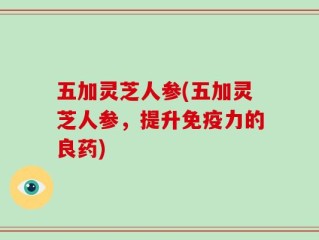 五加灵芝人参(五加灵芝人参，提升免疫力的良药)