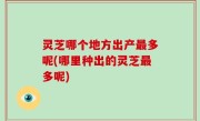 灵芝哪个地方出产最多呢(哪里种出的灵芝最多呢)