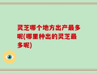 灵芝哪个地方出产最多呢(哪里种出的灵芝最多呢)