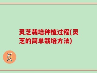 灵芝栽培种植过程(灵芝的简单栽培方法)