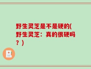 野生灵芝是不是硬的(野生灵芝：真的很硬吗？)
