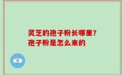灵芝的孢子粉长哪里？孢子粉是怎么来的