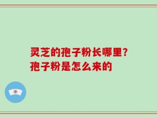灵芝的孢子粉长哪里？孢子粉是怎么来的