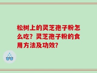 松树上的灵芝孢子粉怎么吃？灵芝孢子粉的食用方法及功效？