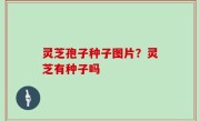 灵芝孢子种子图片？灵芝有种子吗
