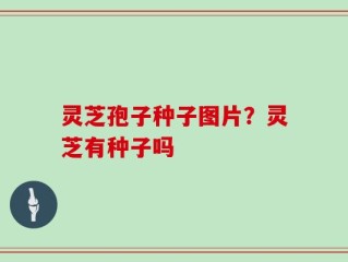灵芝孢子种子图片？灵芝有种子吗