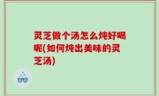 灵芝做个汤怎么炖好喝呢(如何炖出美味的灵芝汤)