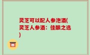 灵芝可以配人参泡酒(灵芝人参酒：佳酿之选)