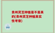 贵州灵芝种植是不是真的(贵州灵芝种植真实性考察)