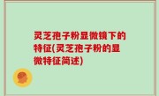 灵芝孢子粉显微镜下的特征(灵芝孢子粉的显微特征简述)