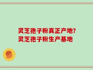 灵芝孢子粉真正产地？灵芝孢子粉生产基地