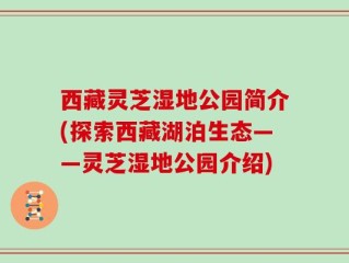 西藏灵芝湿地公园简介(探索西藏湖泊生态——灵芝湿地公园介绍)