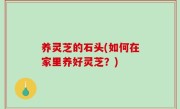 养灵芝的石头(如何在家里养好灵芝？)