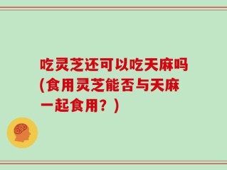 吃灵芝还可以吃天麻吗(食用灵芝能否与天麻一起食用？)