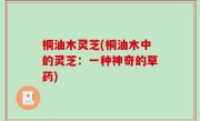 桐油木灵芝(桐油木中的灵芝：一种神奇的草药)