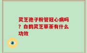 灵芝孢子粉管冠心病吗？白鹤灵芝草茶有什么功效