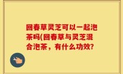 回春草灵芝可以一起泡茶吗(回春草与灵芝混合泡茶，有什么功效？