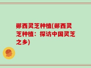 郧西灵芝种植(郧西灵芝种植：探访中国灵芝之乡)