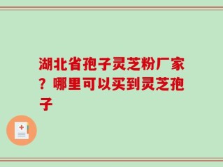湖北省孢子灵芝粉厂家？哪里可以买到灵芝孢子