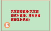 灵芝菌菇直播(灵芝菌菇实时直播：随时掌握菌菇生长状态)