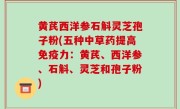 黄芪西洋参石斛灵芝孢子粉(五种中草药提高免疫力：黄芪、西洋参、石斛、灵芝和孢子粉)