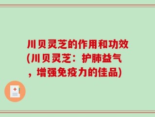 川贝灵芝的作用和功效(川贝灵芝：护肺益气，增强免疫力的佳品)