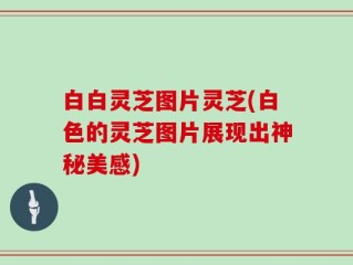 白白灵芝图片灵芝(白色的灵芝图片展现出神秘美感)