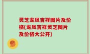 灵芝龙凤吉祥图片及价格(龙凤吉祥灵芝图片及价格大公开)