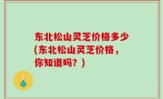 东北松山灵芝价格多少(东北松山灵芝价格，你知道吗？)