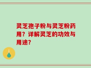 灵芝孢子粉与灵芝粉药用？详解灵芝的功效与用途？