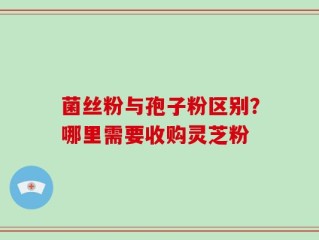 菌丝粉与孢子粉区别？哪里需要收购灵芝粉