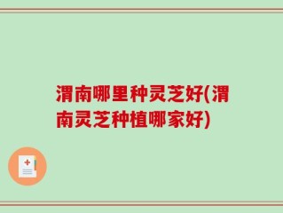 渭南哪里种灵芝好(渭南灵芝种植哪家好)