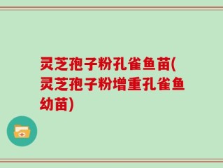 灵芝孢子粉孔雀鱼苗(灵芝孢子粉增重孔雀鱼幼苗)