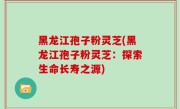 黑龙江孢子粉灵芝(黑龙江孢子粉灵芝：探索生命长寿之源)